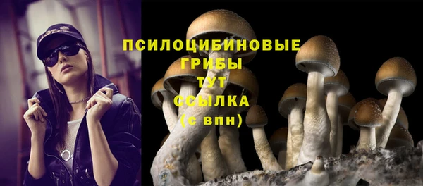 мет Зеленокумск
