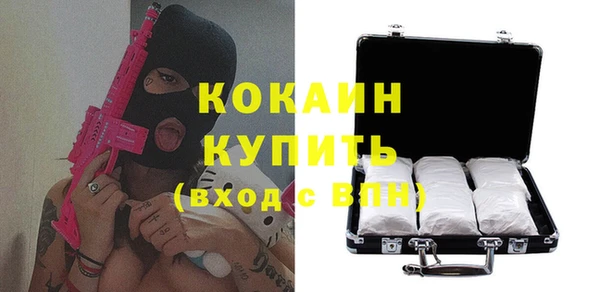 винт Инсар