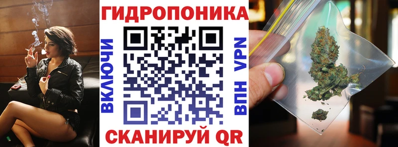 Купить где  Терек  Шишки марихуана сатива 